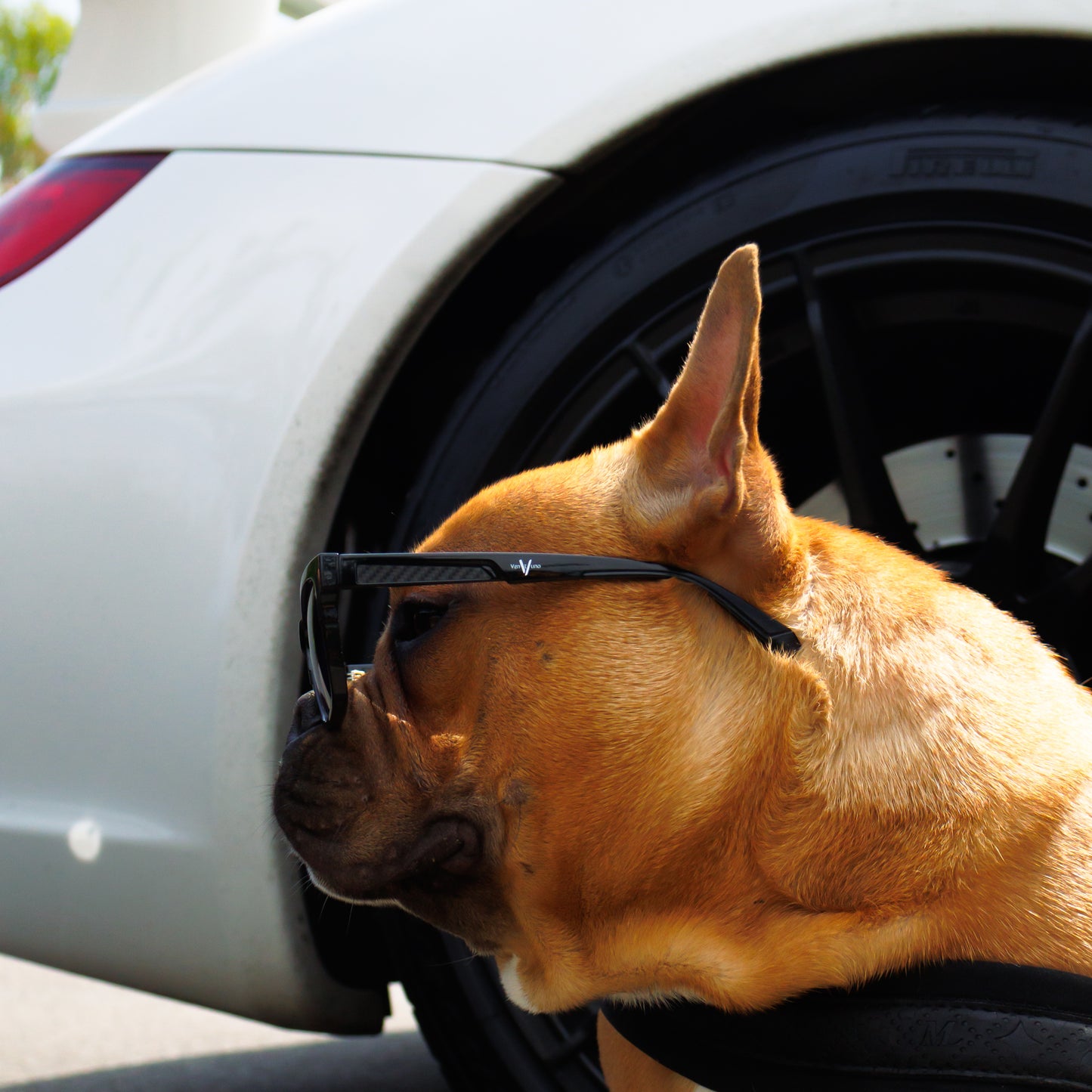 Carbon fiber glasses
